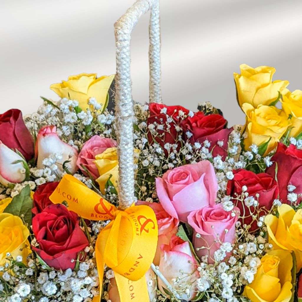 Peaches & Cream Roses Thumbnail 1