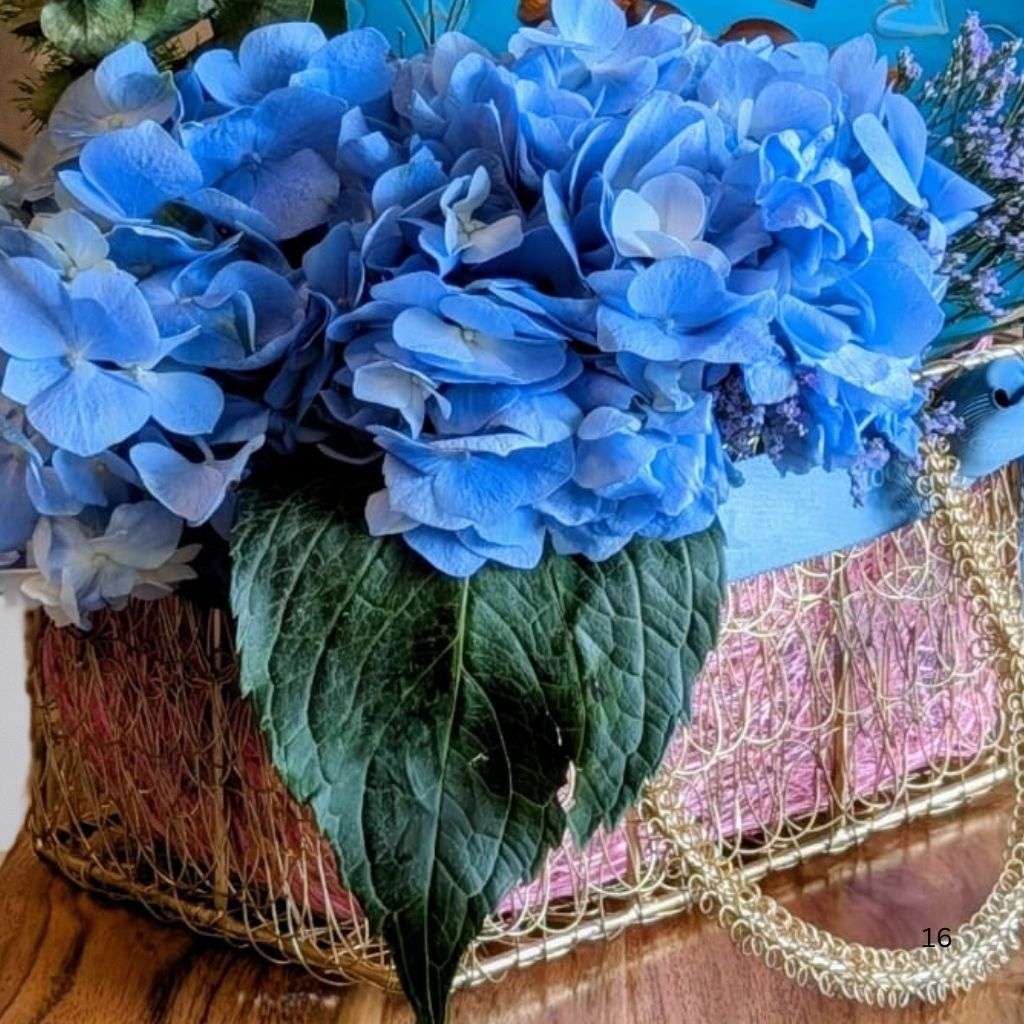 Blue Label Blooms Thumbnail 1