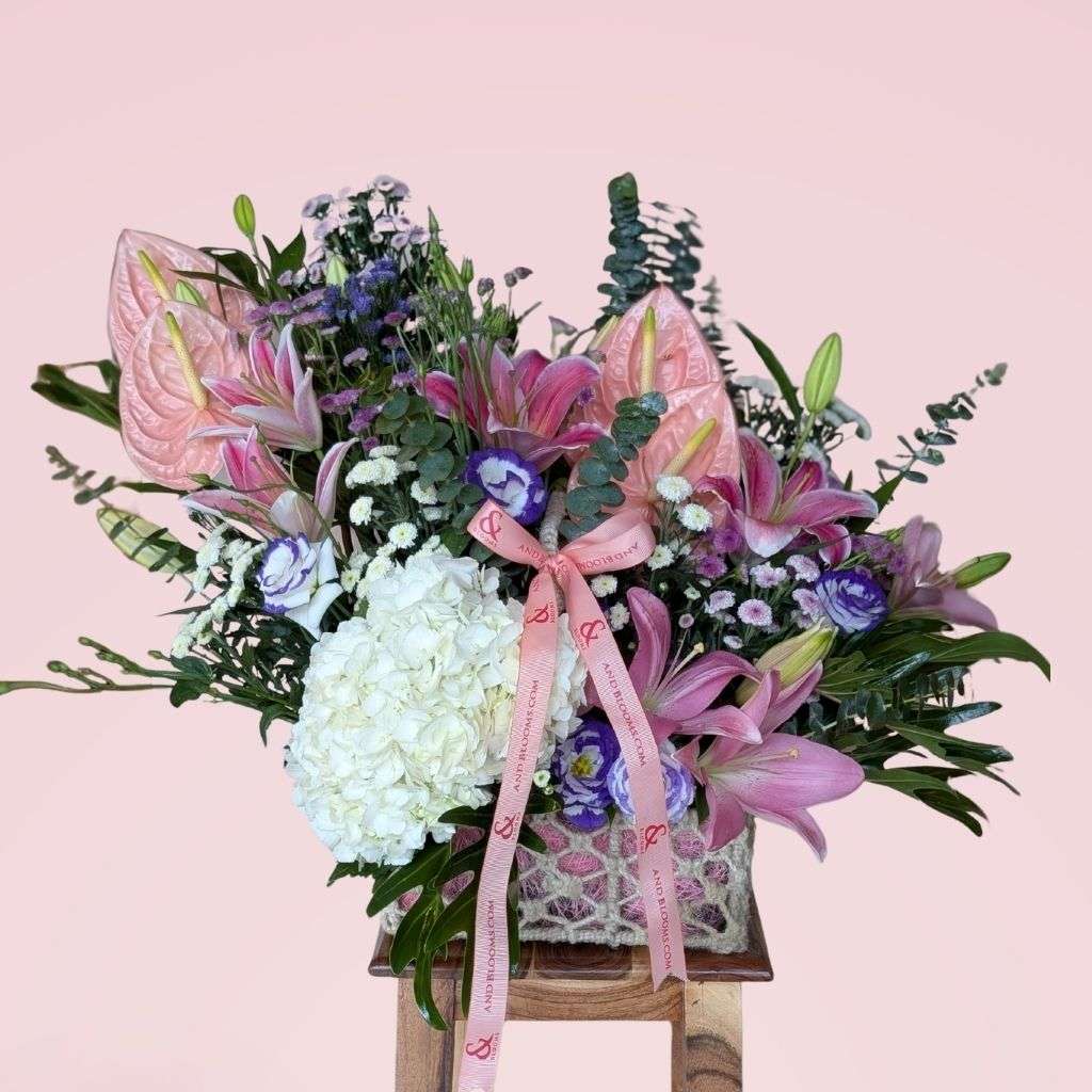Soft Bloom Theory