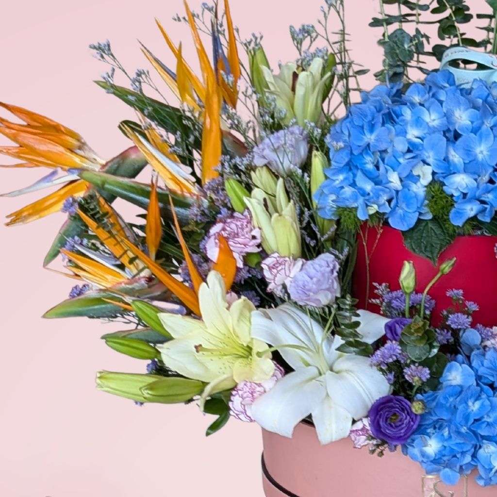 The Bloom Vault Thumbnail 1
