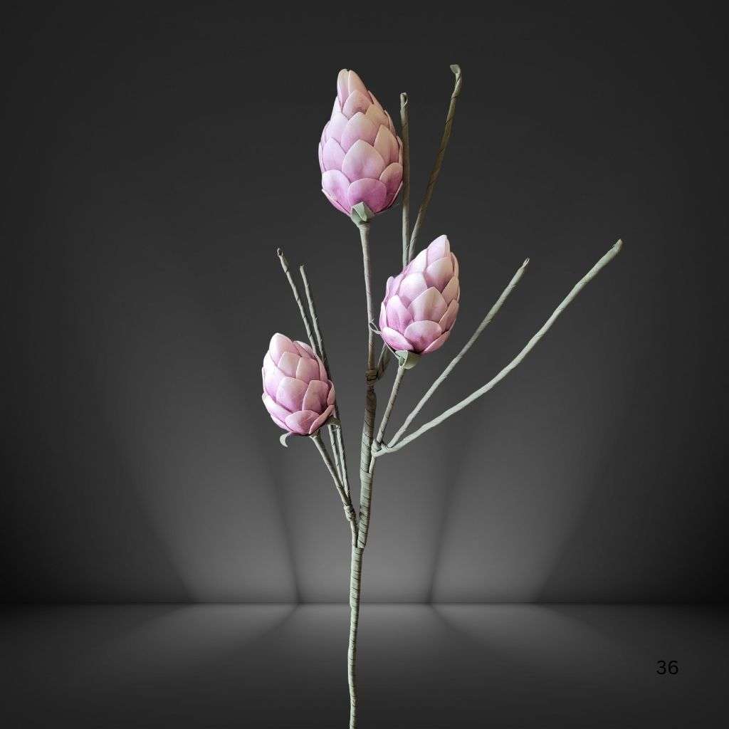 PROTEA