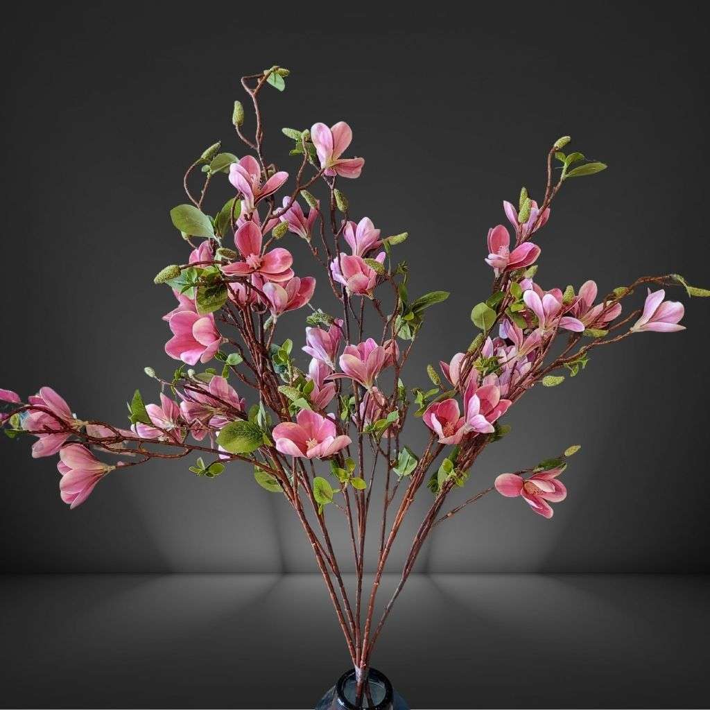Magnolia