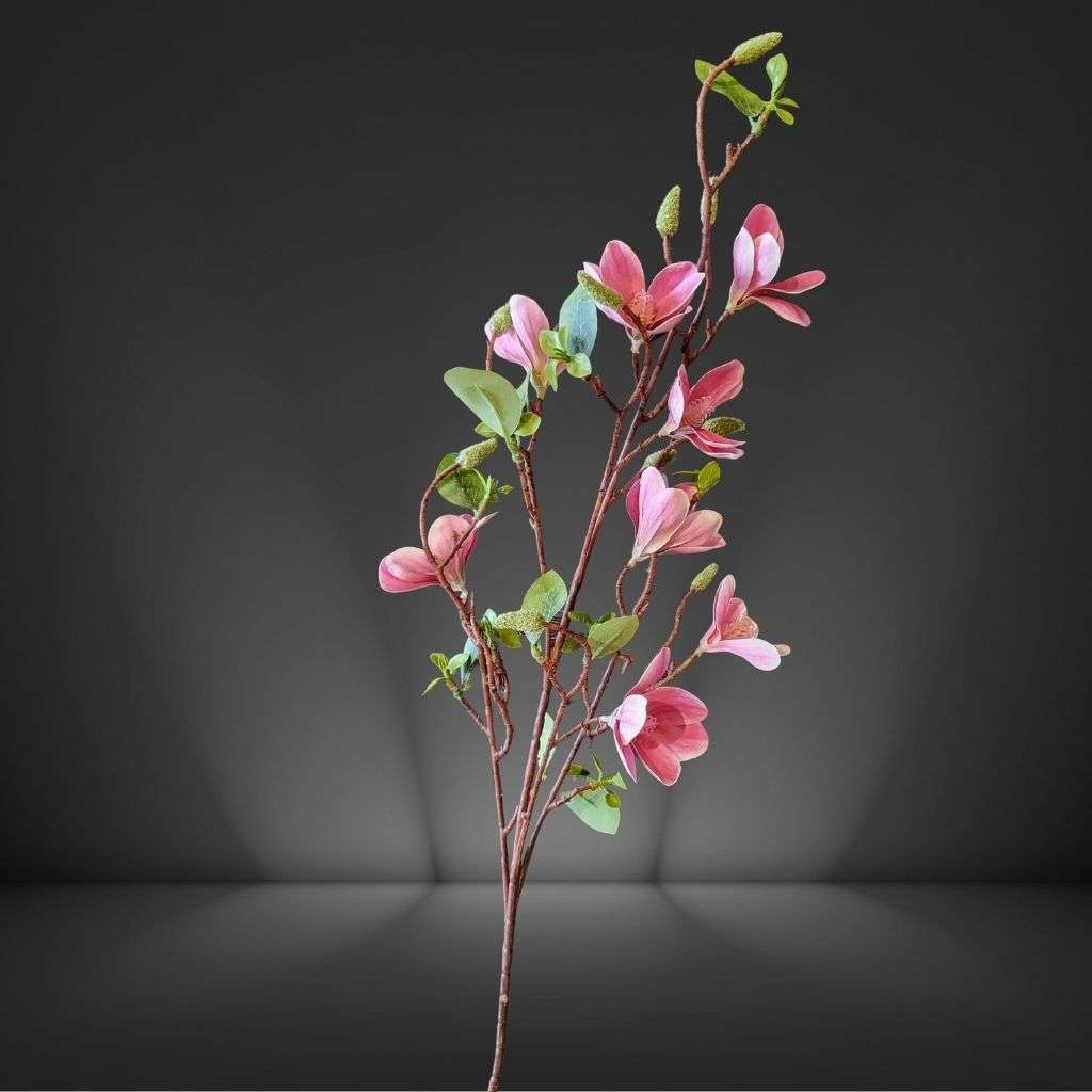 Magnolia Thumbnail 1