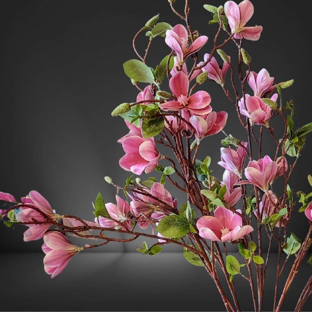 Magnolia Thumbnail 2