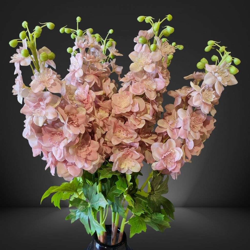 Delphinium baby pink