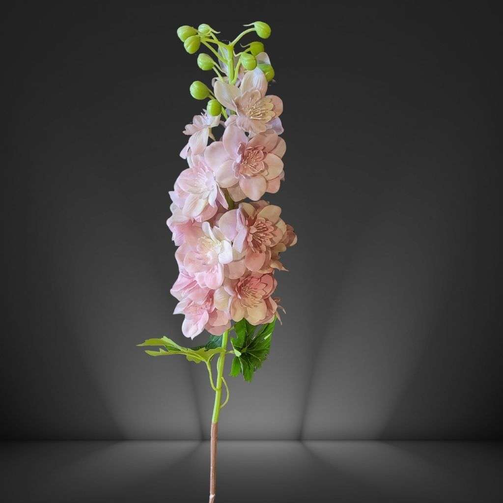 Delphinium baby pink Thumbnail 1