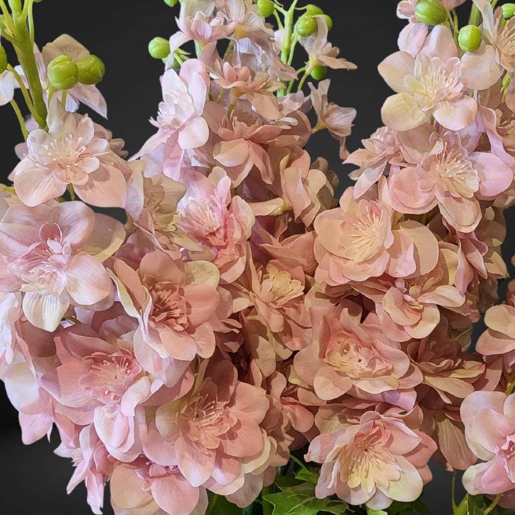 Delphinium baby pink Thumbnail 2