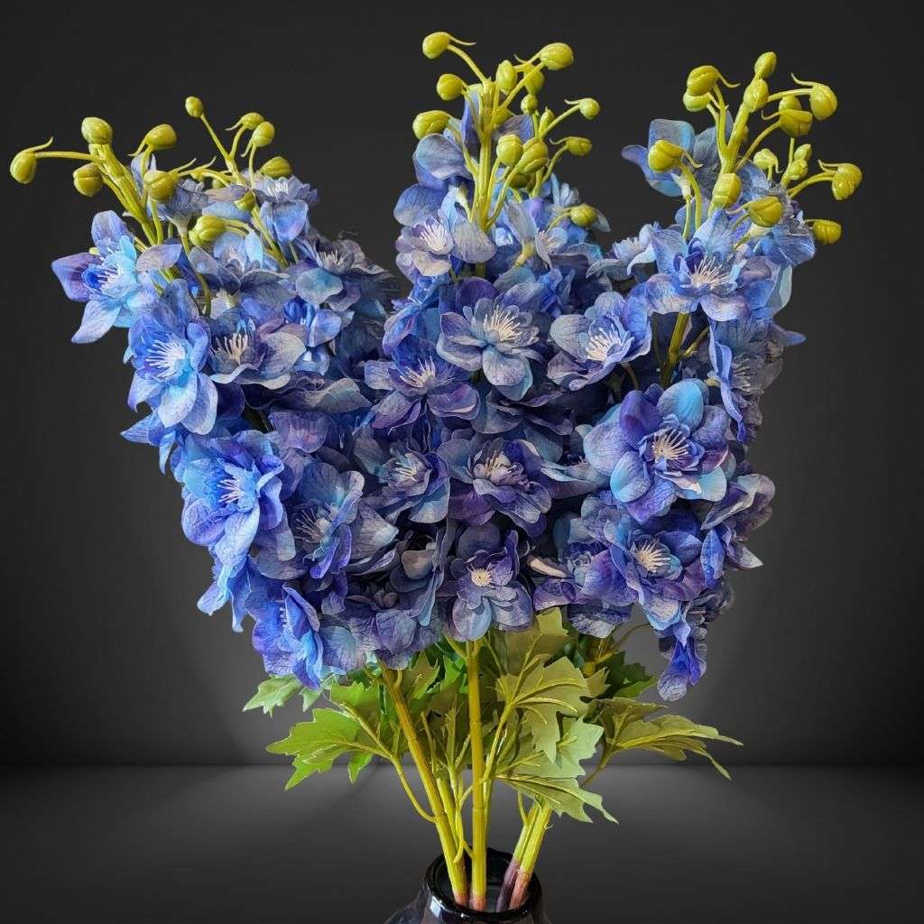 Delphinium Bule