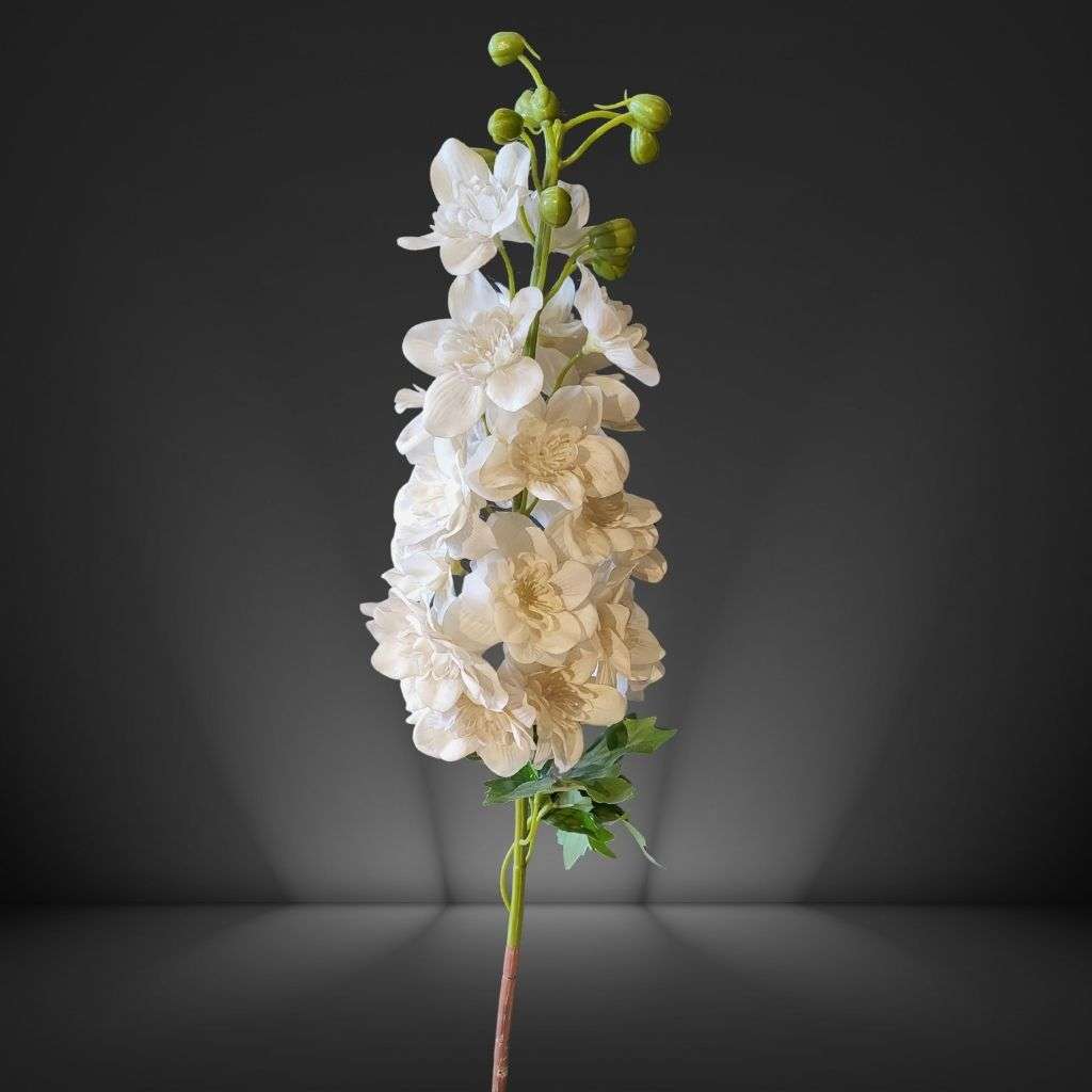 Delphinium White Thumbnail 1