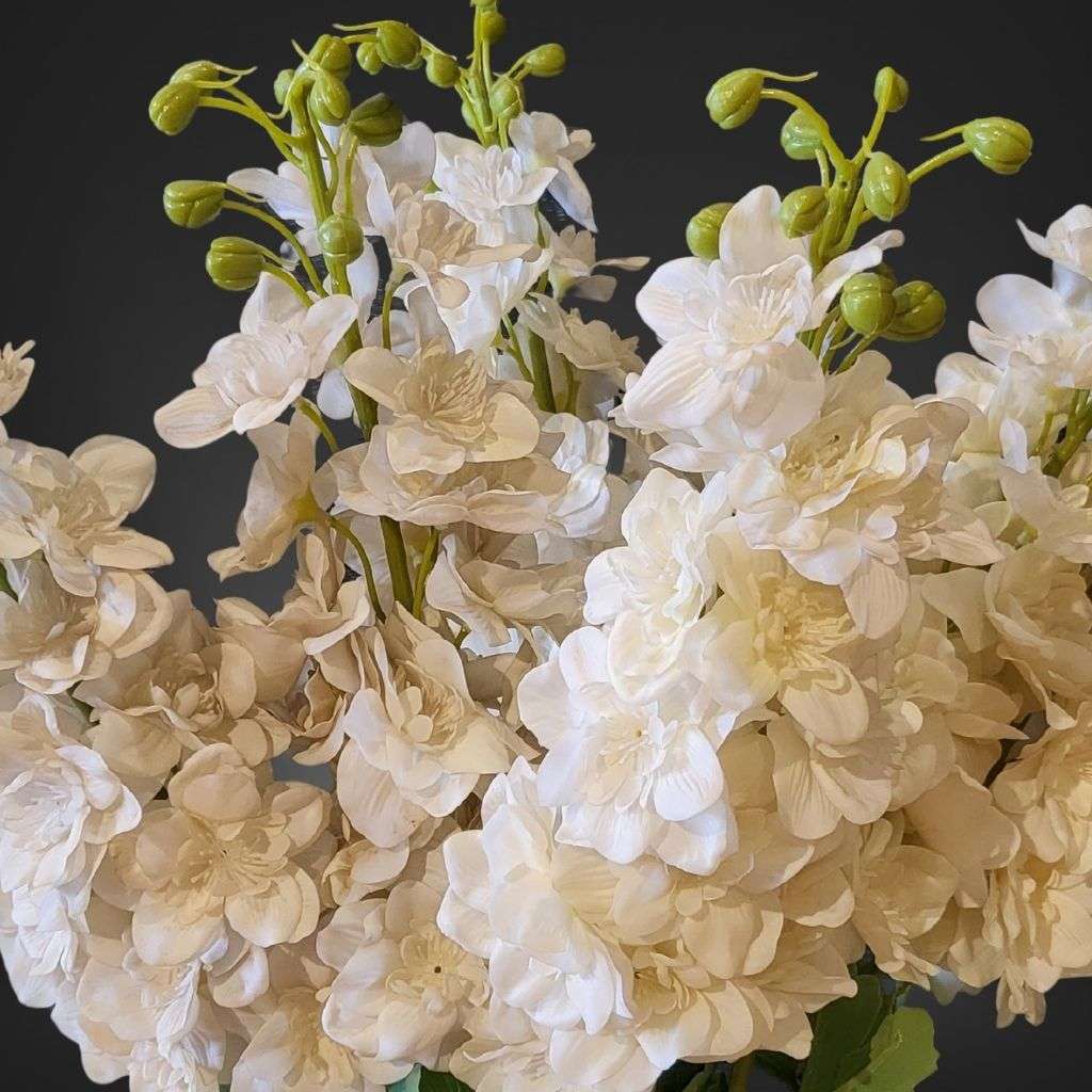 Delphinium White Thumbnail 2