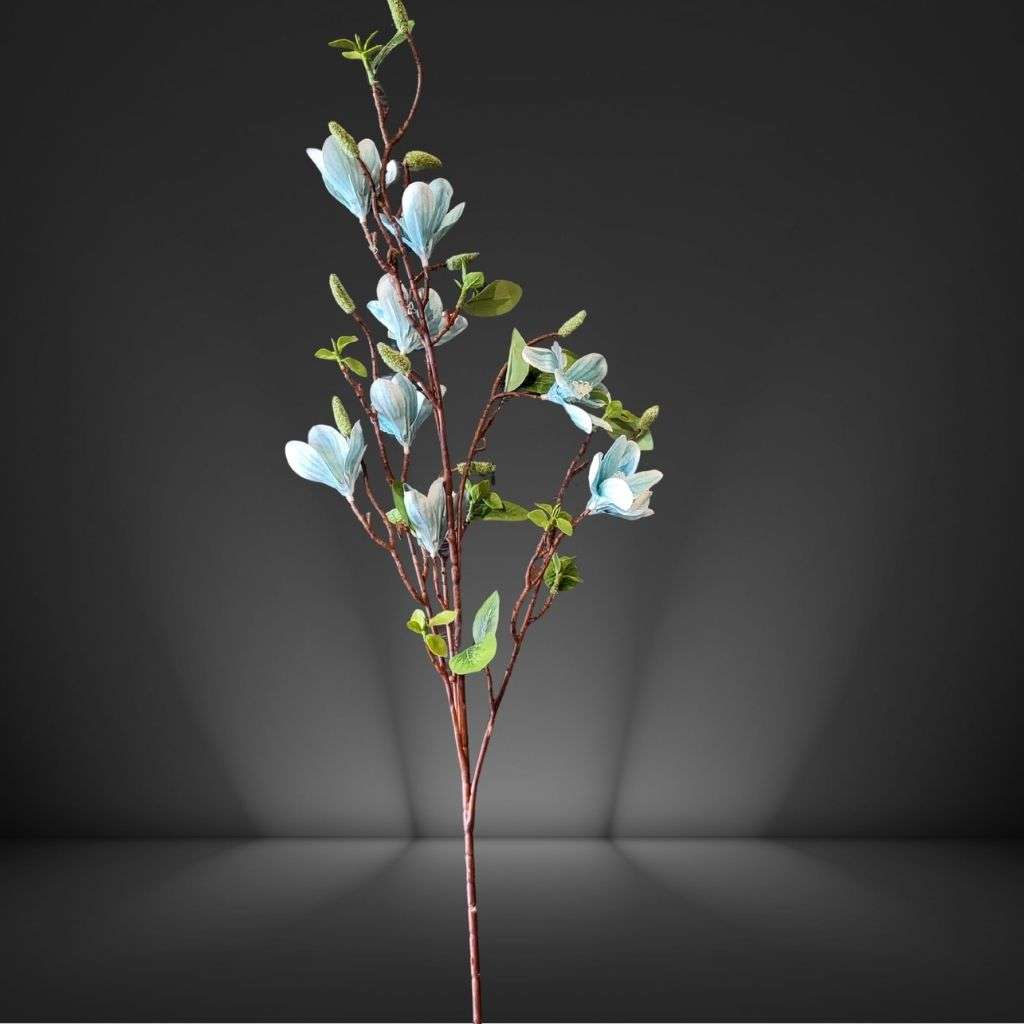Magnolia Bule Thumbnail 1