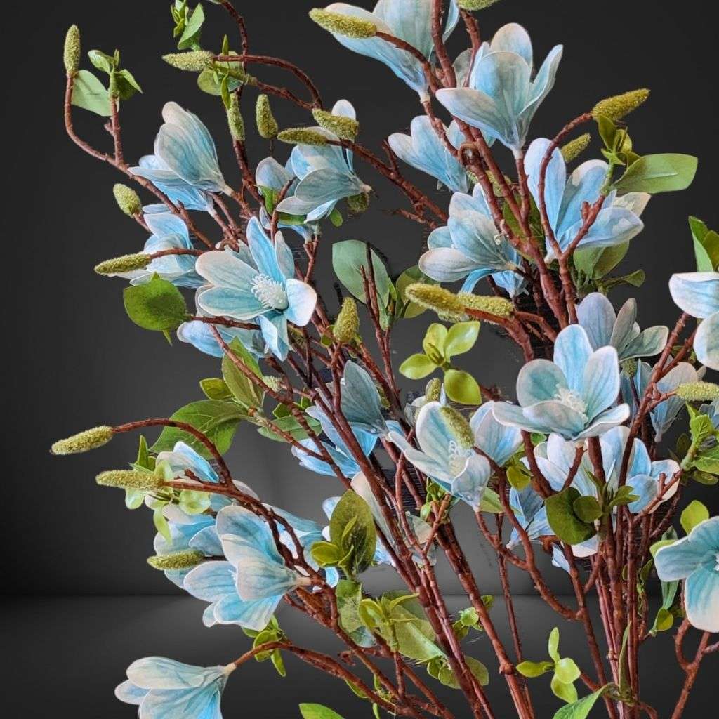 Magnolia Bule Thumbnail 2