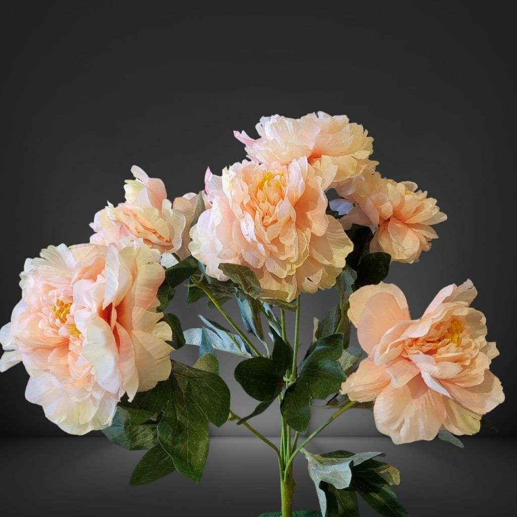 Peony Bunch Peche Thumbnail 1