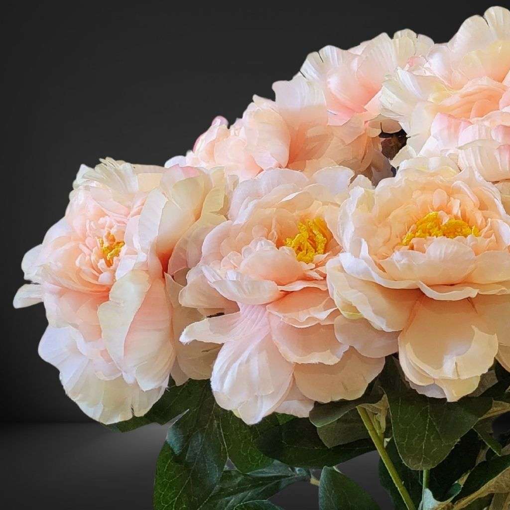 Peony Bunch Peche Thumbnail 2