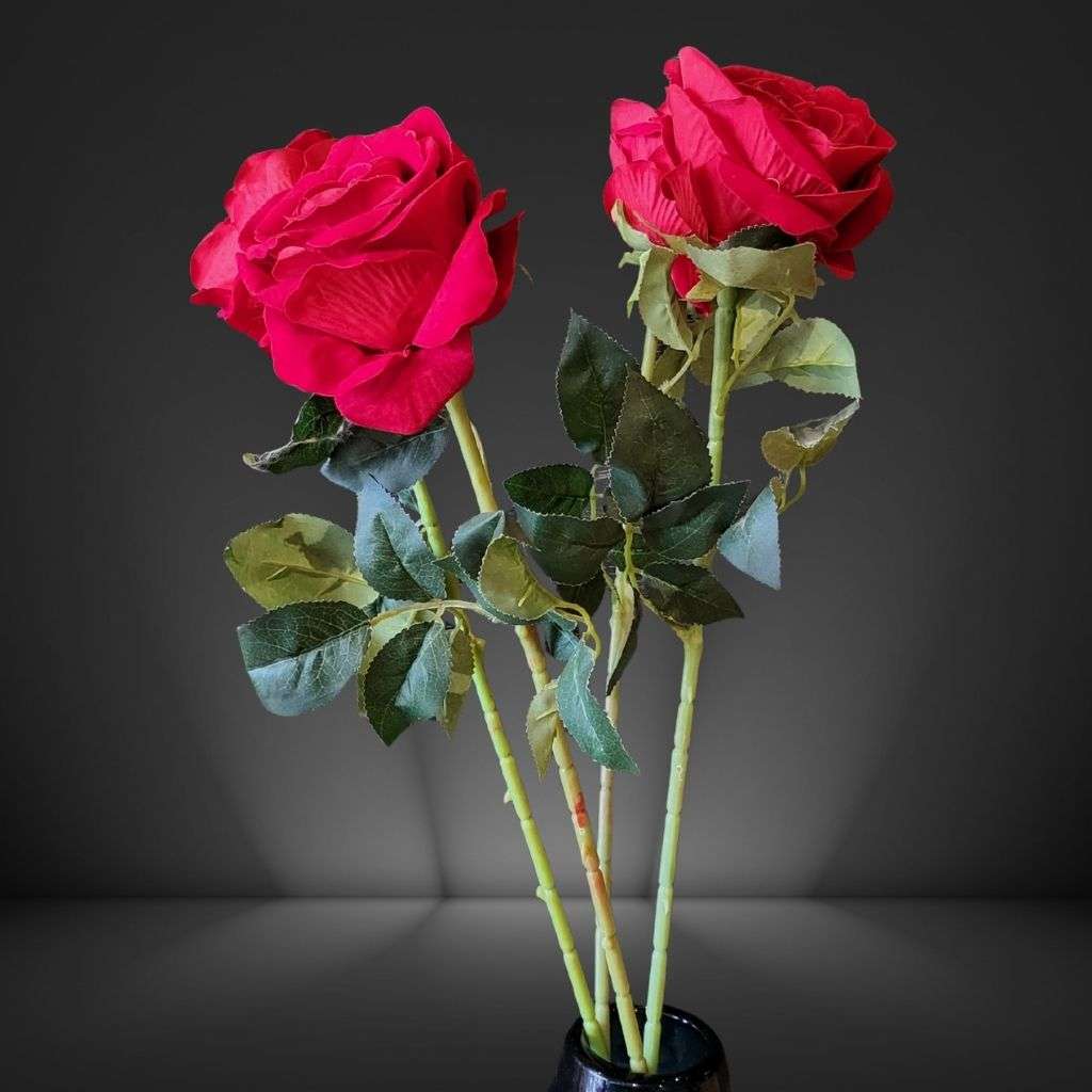 Red Rose