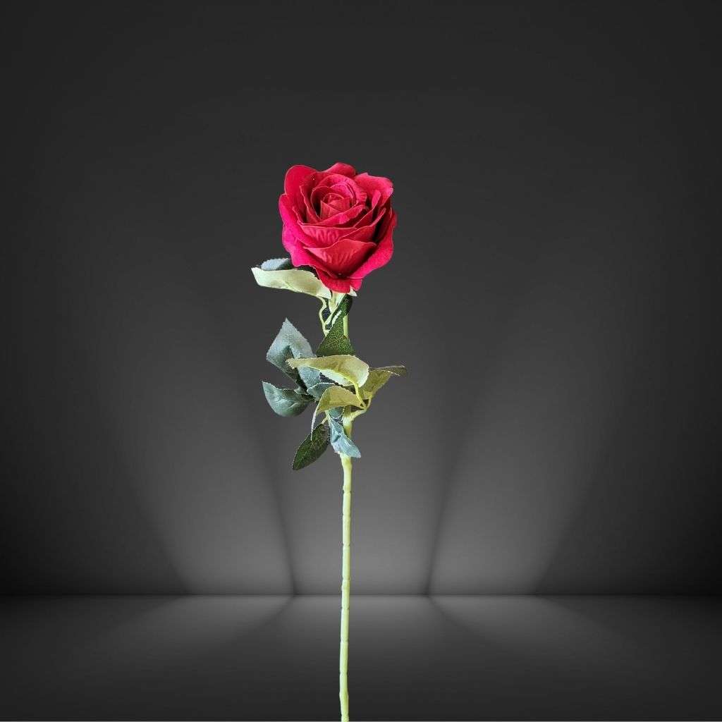 Red Rose Thumbnail 1