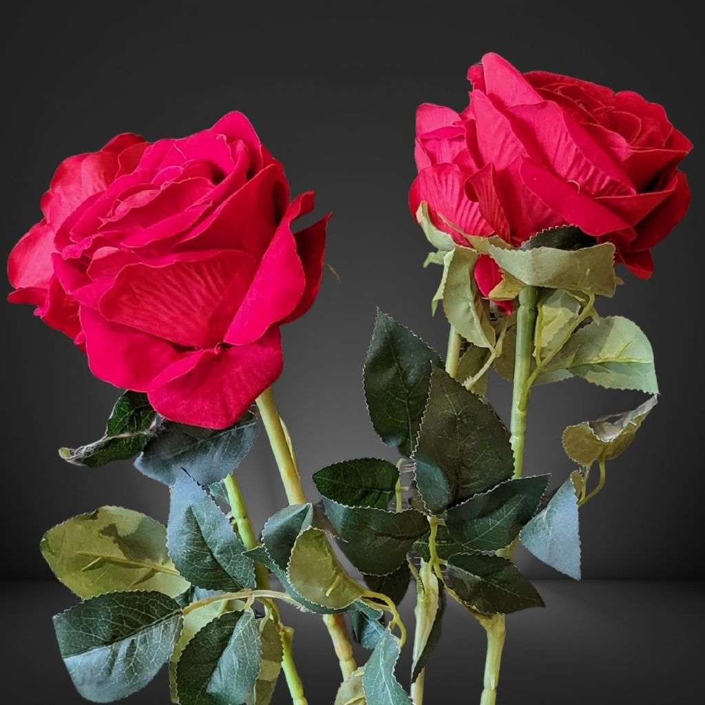 Red Rose Thumbnail 2