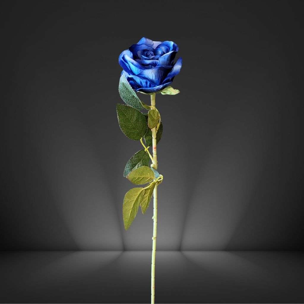Bule Rose Thumbnail 1