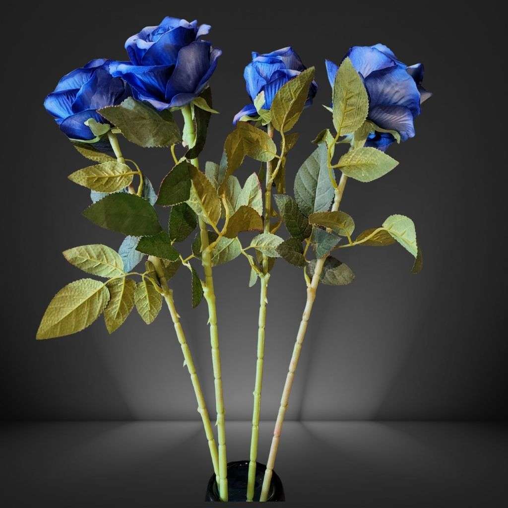 Bule Rose