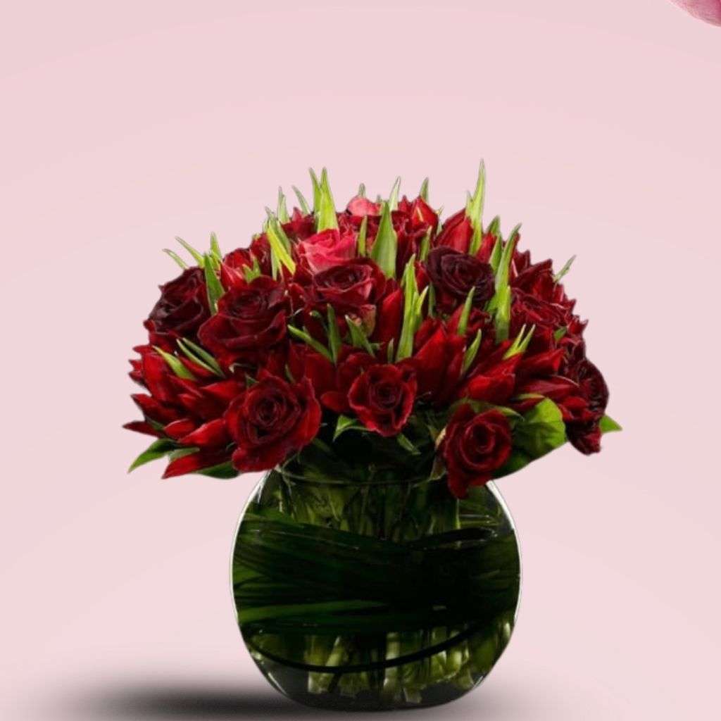 Tulip & Rose