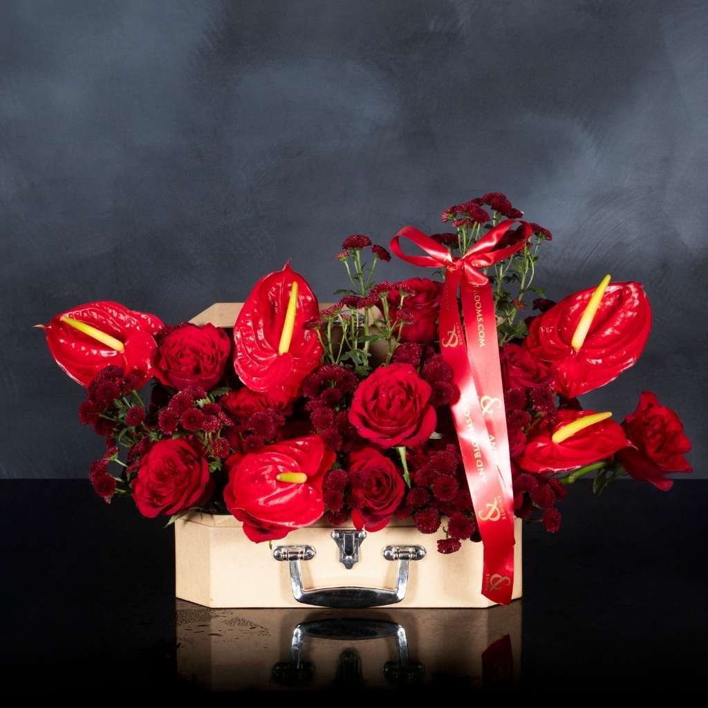 Midnight Aroma - The Valentine Edition