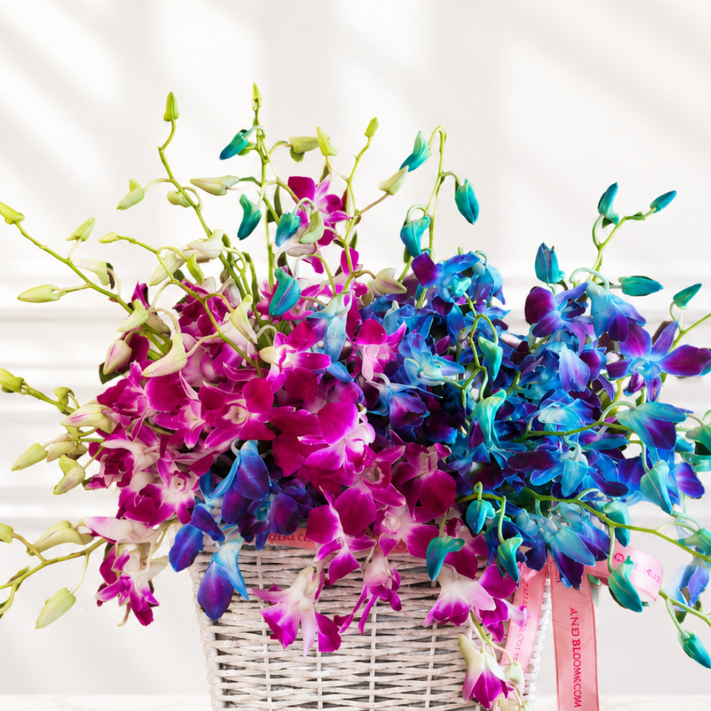 Orchid Paradise Thumbnail 3