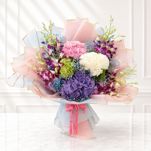 Hydrangea Dreamscape
