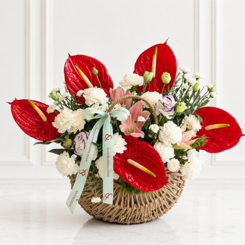 Red Anthurium Basket 