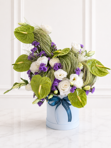Dreamy Blooms